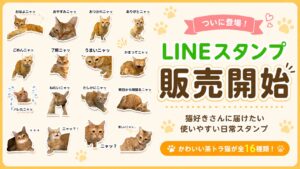 LINEスタンプになった茶トラ猫おもちのイメージ