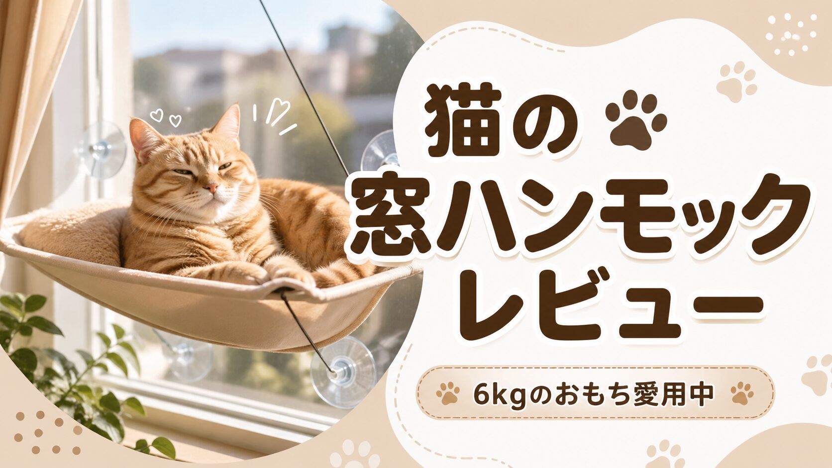 窓ハンモックでくつろぐ茶トラ猫おもち
