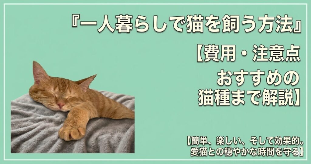 一人暮らしと猫の生活イメージ