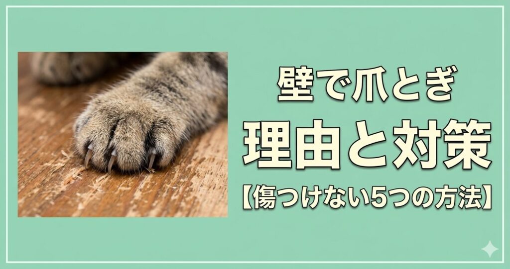 壁で爪研ぎする猫の対策イメージ