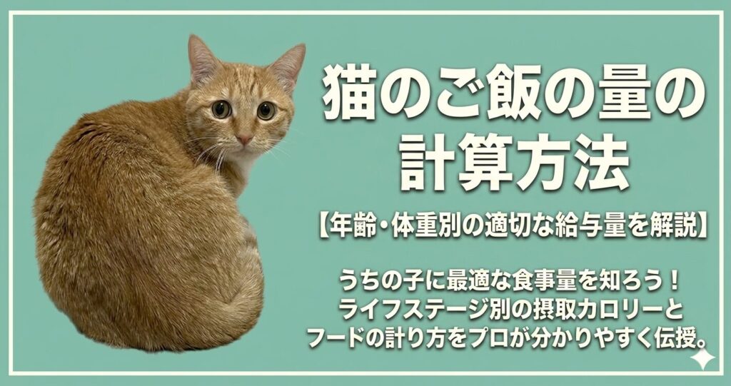 キャットフードと食事量のイメージ